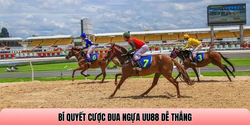 Bí quyết cược đua ngựa UU88 dễ thắng