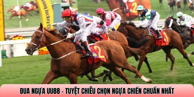 Đua ngựa UU88 - Tuyệt chiêu chọn ngựa chiến chuẩn nhất