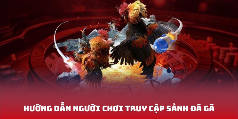 Hướng dẫn người chơi truy cập sảnh đá gà