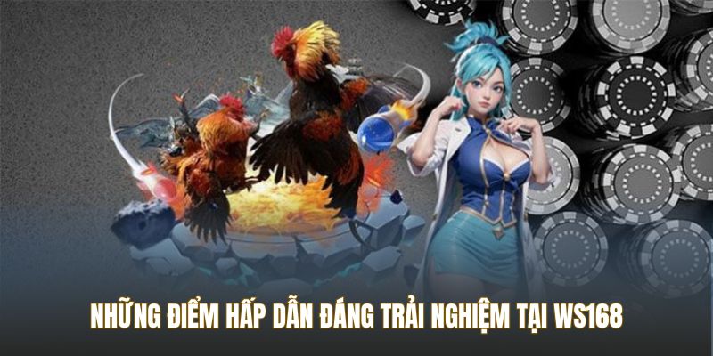 Những điểm hấp dẫn đáng trải nghiệm tại WS168