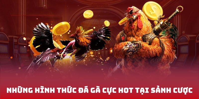 Những hình thức đá gà cực hot tại sảnh cược