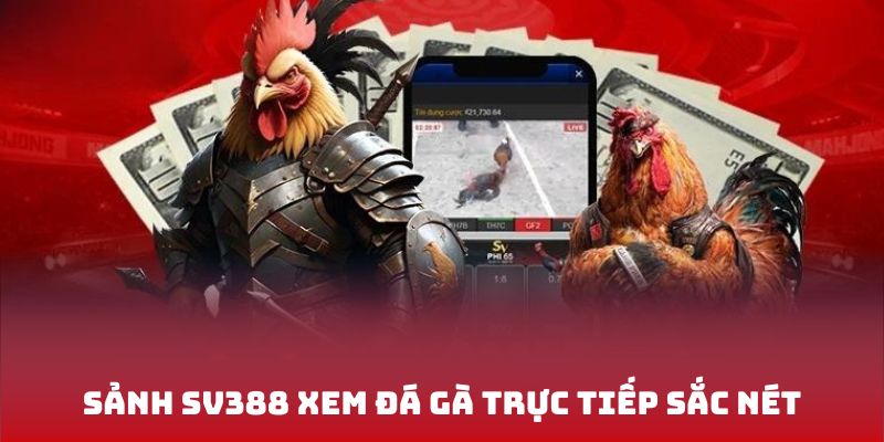 Sảnh SV388 xem đá gà trực tiếp sắc nét
