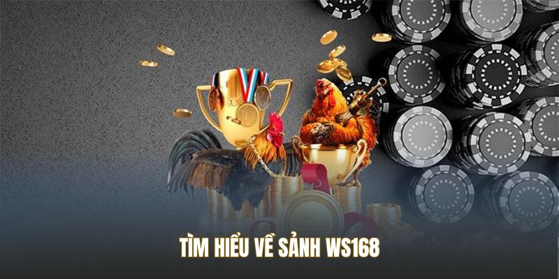 Tìm hiểu về sảnh WS168